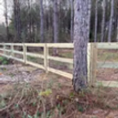 Three-rail wood fence built through a stand of pines
